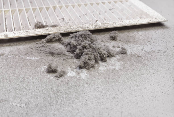 Best Best Air Duct Cleaning Near Me  in Jones Valley, CA